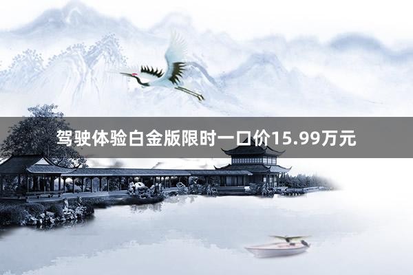 驾驶体验白金版限时一口价15.99万元