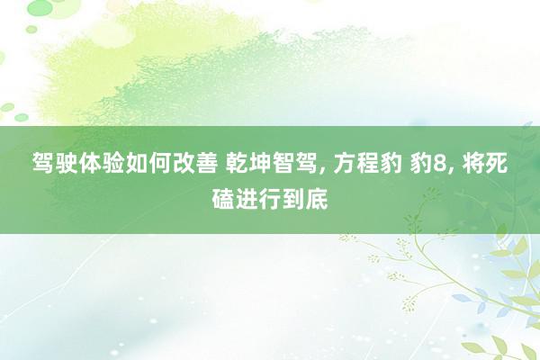 驾驶体验如何改善 乾坤智驾, 方程豹 豹8, 将死磕进行到底