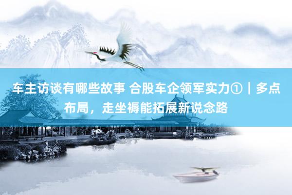 车主访谈有哪些故事 合股车企领军实力①｜多点布局，走坐褥能拓展新说念路