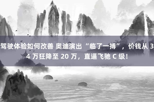 驾驶体验如何改善 奥迪演出 “临了一搏”，价钱从 34 万狂降至 20 万，直逼飞驰 C 级！