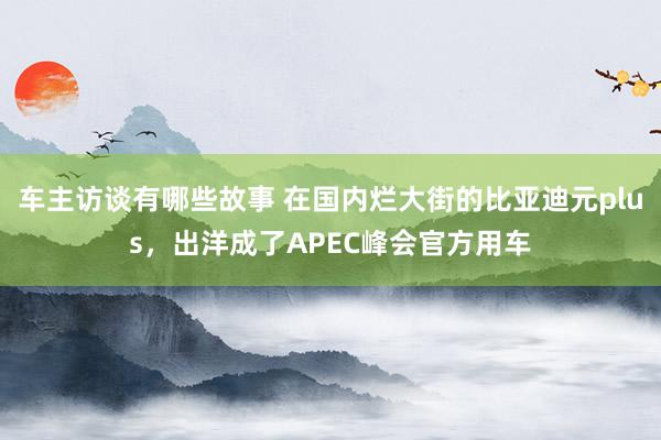 车主访谈有哪些故事 在国内烂大街的比亚迪元plus，出洋成了APEC峰会官方用车