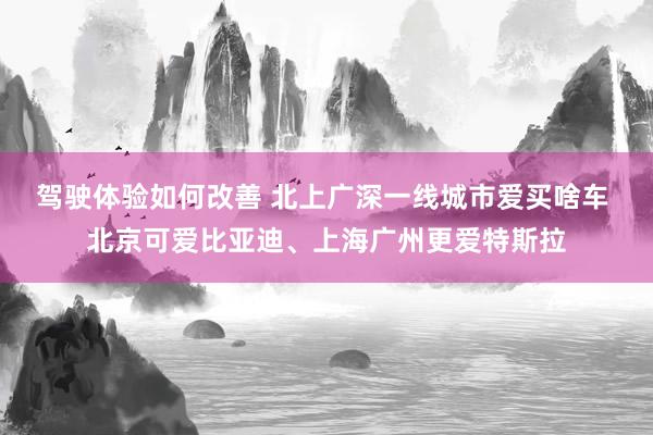 驾驶体验如何改善 北上广深一线城市爱买啥车 北京可爱比亚迪、上海广州更爱特斯拉