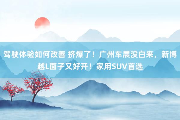 驾驶体验如何改善 挤爆了！广州车展没白来，新博越L面子又好开！家用SUV首选