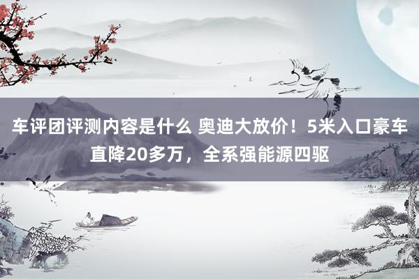 车评团评测内容是什么 奥迪大放价！5米入口豪车直降20多万，全系强能源四驱