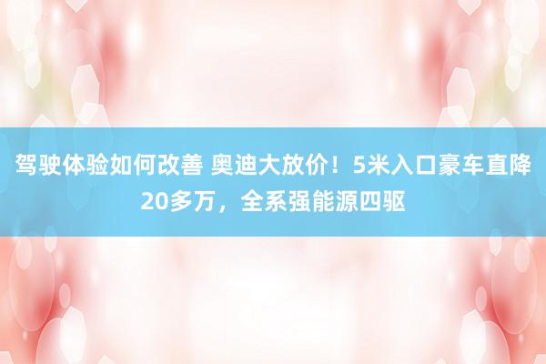 驾驶体验如何改善 奥迪大放价！5米入口豪车直降20多万，全系强能源四驱