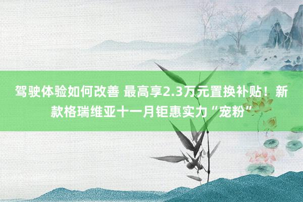 驾驶体验如何改善 最高享2.3万元置换补贴！新款格瑞维亚十一月钜惠实力“宠粉”