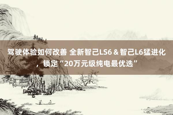 驾驶体验如何改善 全新智己LS6＆智己L6猛进化，锁定“20万元级纯电最优选”