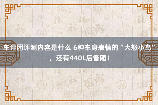 车评团评测内容是什么 6种车身表情的“大怒小鸟”，还有440L后备厢！