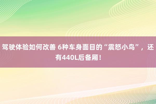 驾驶体验如何改善 6种车身面目的“震怒小鸟”，还有440L后备厢！