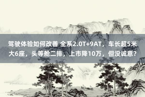 驾驶体验如何改善 全系2.0T+9AT，车长超5米大6座，头等舱二排，上市降10万，但没诚意？