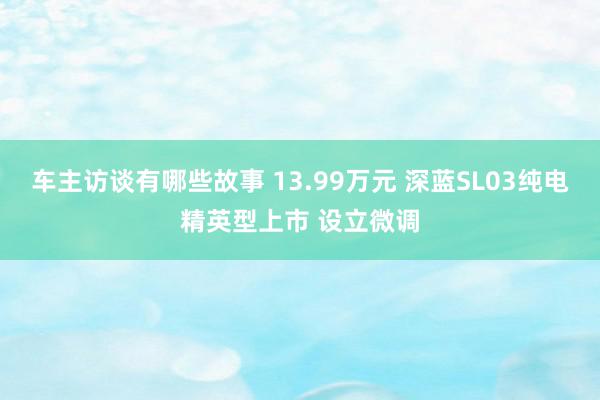 车主访谈有哪些故事 13.99万元 深蓝SL03纯电精英型上市 设立微调