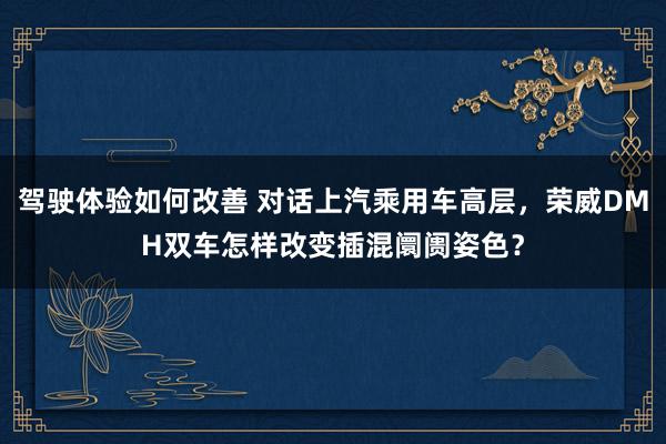 驾驶体验如何改善 对话上汽乘用车高层，荣威DMH双车怎样改变插混阛阓姿色？