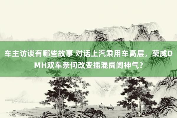 车主访谈有哪些故事 对话上汽乘用车高层，荣威DMH双车奈何改变插混阛阓神气？