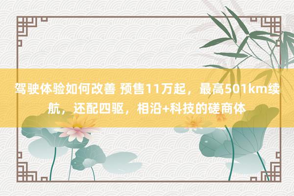 驾驶体验如何改善 预售11万起，最高501km续航，还配四驱，相沿+科技的磋商体