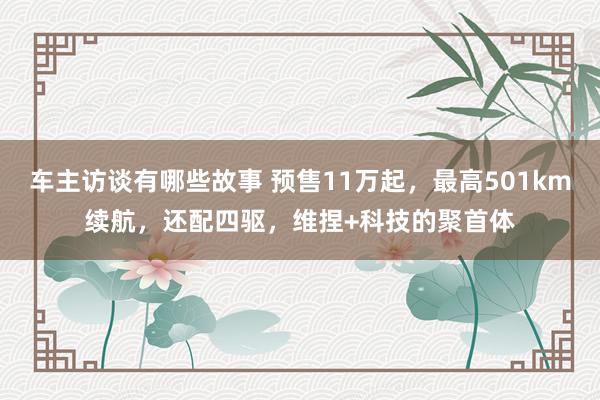 车主访谈有哪些故事 预售11万起，最高501km续航，还配四驱，维捏+科技的聚首体