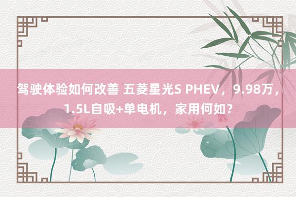 驾驶体验如何改善 五菱星光S PHEV，9.98万，1.5L自吸+单电机，家用何如？