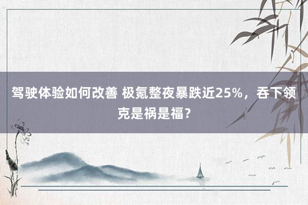 驾驶体验如何改善 极氪整夜暴跌近25%，吞下领克是祸是福？