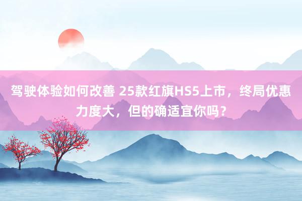 驾驶体验如何改善 25款红旗HS5上市，终局优惠力度大，但的确适宜你吗？