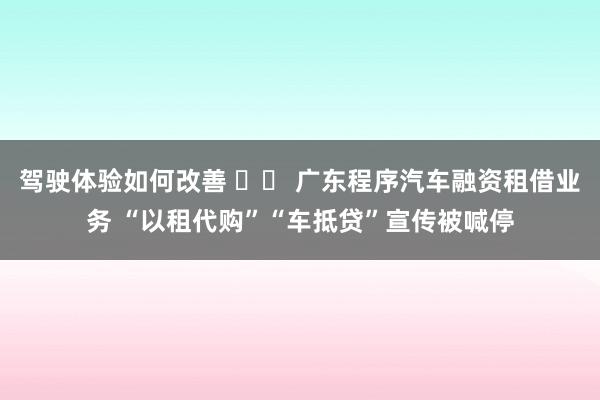 驾驶体验如何改善 		 广东程序汽车融资租借业务 “以租代购”“车抵贷”宣传被喊停