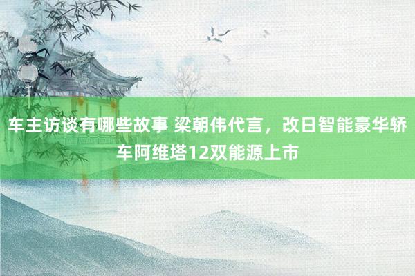 车主访谈有哪些故事 梁朝伟代言，改日智能豪华轿车阿维塔12双能源上市