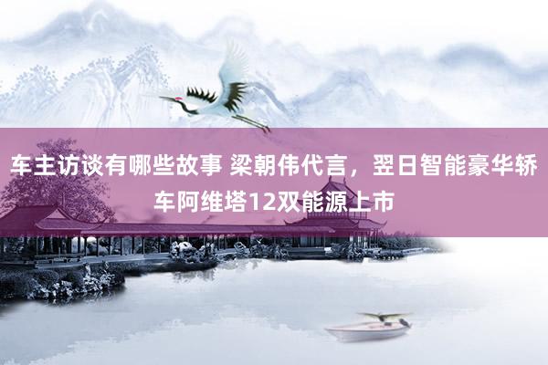 车主访谈有哪些故事 梁朝伟代言，翌日智能豪华轿车阿维塔12双能源上市