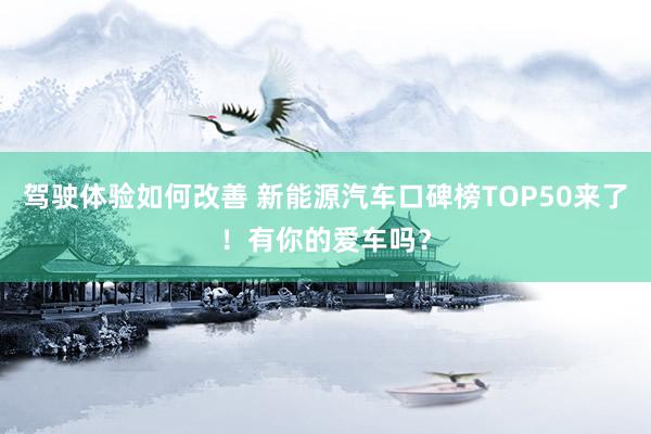 驾驶体验如何改善 新能源汽车口碑榜TOP50来了！有你的爱车吗？