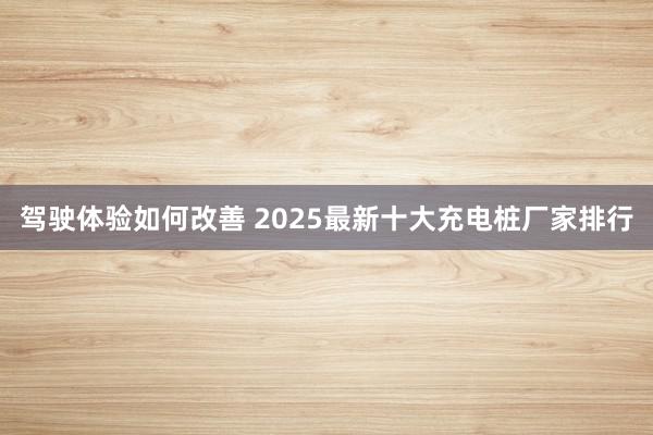 驾驶体验如何改善 2025最新十大充电桩厂家排行