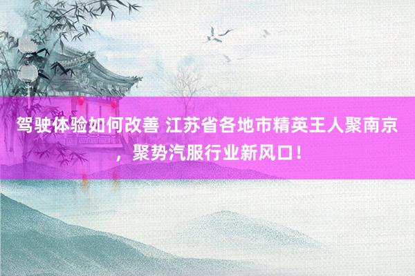 驾驶体验如何改善 江苏省各地市精英王人聚南京，聚势汽服行业新风口！