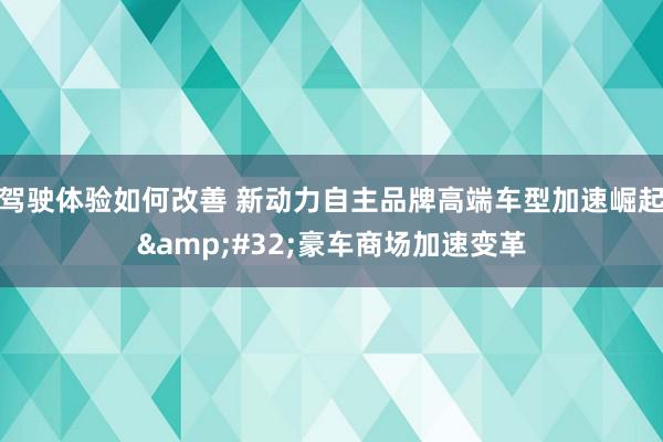 驾驶体验如何改善 新动力自主品牌高端车型加速崛起&#32;豪车商场加速变革