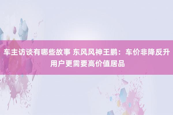 车主访谈有哪些故事 东风风神王鹏：车价非降反升 用户更需要高价值居品