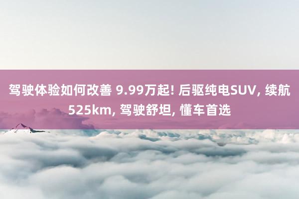 驾驶体验如何改善 9.99万起! 后驱纯电SUV, 续航525km, 驾驶舒坦, 懂车首选