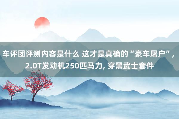 车评团评测内容是什么 这才是真确的“豪车屠户”, 2.0T发动机250匹马力, 穿黑武士套件