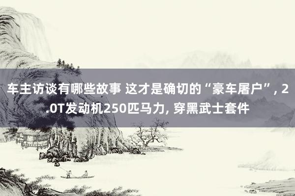 车主访谈有哪些故事 这才是确切的“豪车屠户”, 2.0T发动机250匹马力, 穿黑武士套件