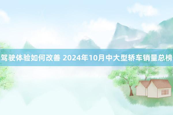 驾驶体验如何改善 2024年10月中大型轿车销量总榜