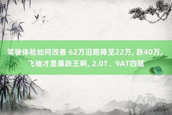 驾驶体验如何改善 62万沿路降至22万, 跌40万, 飞驰才是暴跌王啊, 2.0T、9AT四驱