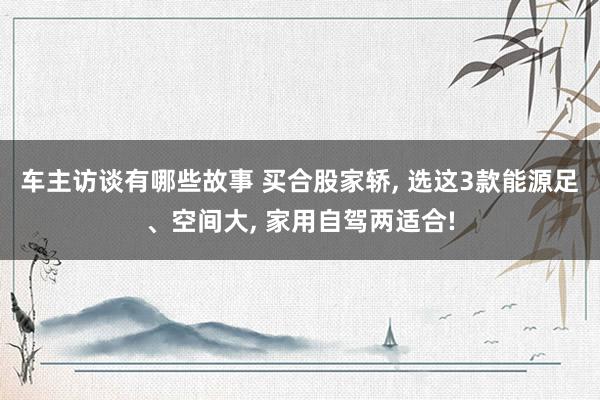 车主访谈有哪些故事 买合股家轿, 选这3款能源足、空间大, 家用自驾两适合!