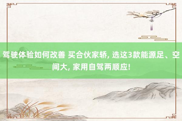 驾驶体验如何改善 买合伙家轿, 选这3款能源足、空间大, 家用自驾两顺应!