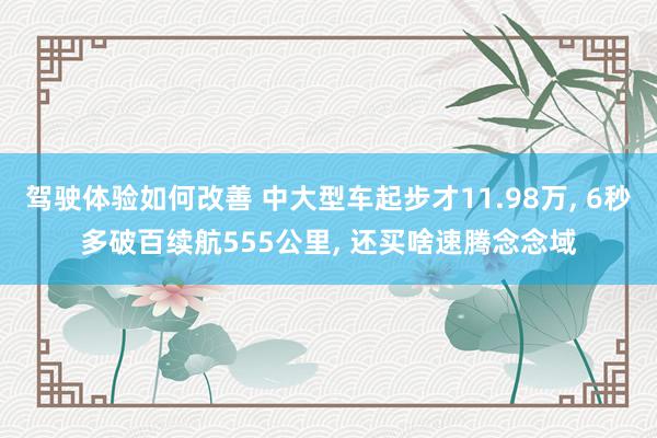 驾驶体验如何改善 中大型车起步才11.98万, 6秒多破百续航555公里, 还买啥速腾念念域