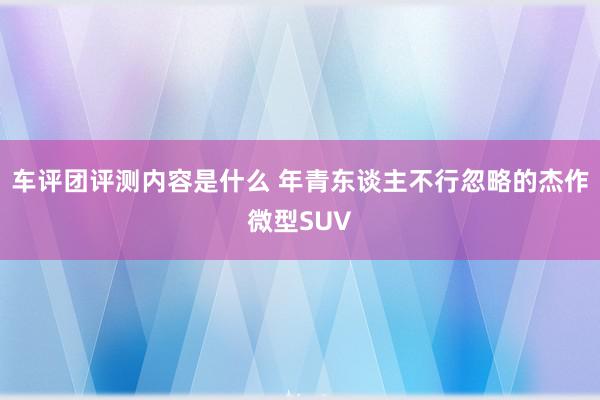 车评团评测内容是什么 年青东谈主不行忽略的杰作微型SUV