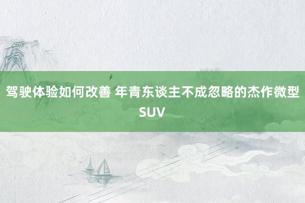 驾驶体验如何改善 年青东谈主不成忽略的杰作微型SUV