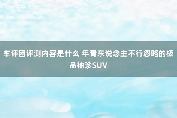 车评团评测内容是什么 年青东说念主不行忽略的极品袖珍SUV