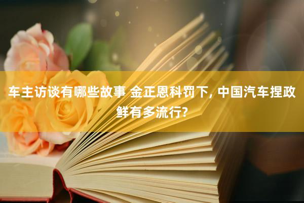 车主访谈有哪些故事 金正恩科罚下, 中国汽车捏政鲜有多流行?