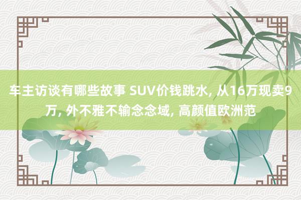 车主访谈有哪些故事 SUV价钱跳水, 从16万现卖9万, 外不雅不输念念域, 高颜值欧洲范