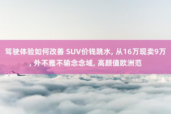 驾驶体验如何改善 SUV价钱跳水, 从16万现卖9万, 外不雅不输念念域, 高颜值欧洲范