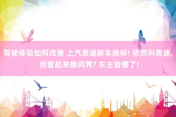 驾驶体验如何改善 上汽奥迪新车换标! 依然叫奥迪, 但看起来像问界? 车主皆懵了!