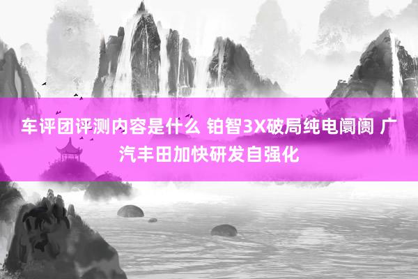 车评团评测内容是什么 铂智3X破局纯电阛阓 广汽丰田加快研发自强化