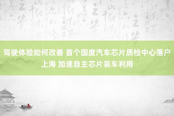 驾驶体验如何改善 首个国度汽车芯片质检中心落户上海 加速自主芯片装车利用