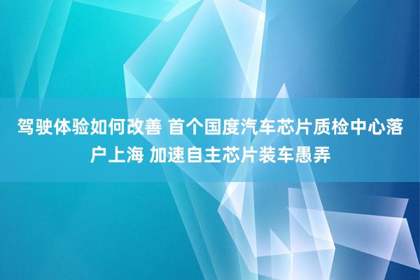 驾驶体验如何改善 首个国度汽车芯片质检中心落户上海 加速自主芯片装车愚弄