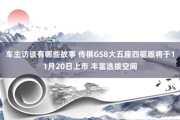 车主访谈有哪些故事 传祺GS8大五座四驱版将于11月20日上市 丰富选拔空间