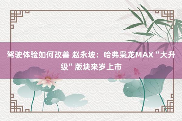 驾驶体验如何改善 赵永坡：哈弗枭龙MAX“大升级”版块来岁上市